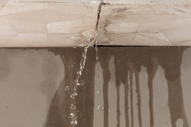 Professional Water Damage Repair technician working in Colleyville, TX